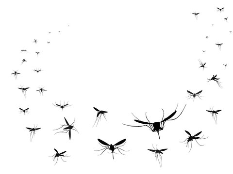 Flying mosquitoes silhouettes group. Flying insects swarm spreading diseases dangerous infection and viruses, black wave vector gnats. Mosquito insect silhouette isolated, gnat malaria illustration