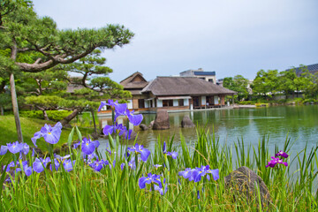 Yokokan is a garden created in the Edo period. It once served as a villa of the Matsudairas, the...