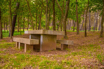 Fototapeta premium Mesa de piedra en medio de la naturaleza. Bosque. Forest. Picnic.