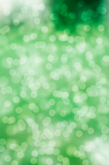 Fototapeta premium Natural green background