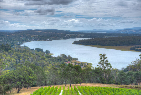 Valley of river Tamar in Tasmania, Australia