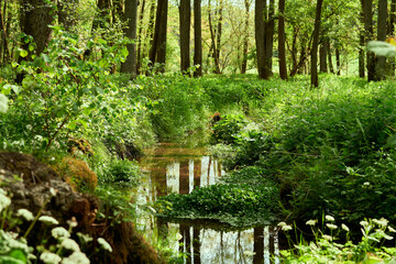 Wandern in der Fränkischen Schweiz.