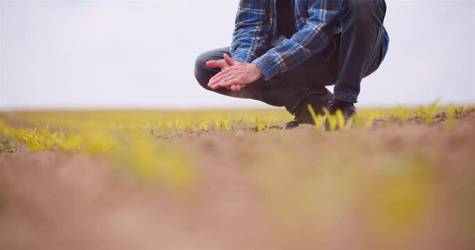 Farmer Examining Soild Dirt in Hands at Dusk