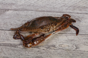 Raw crab - ready for cooking
