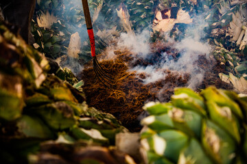 Pico sobre agave cocido para mezcal
