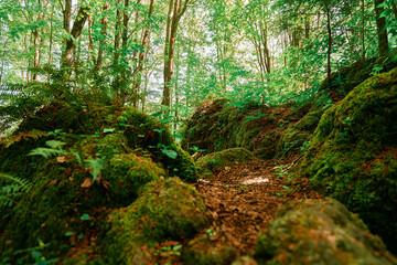Wandern in der Fränkischen Schweiz.