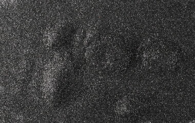 Black glitter background and texture, top view