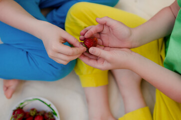 Red strawberry in the hands of children. Children's friendship, summer warm day.