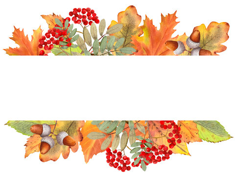 Watercolor card with autumn leaves and branches isolated on white background. Sunflower, maple leaf, rowan, oak, berry, acorn. Hand painting illustration.