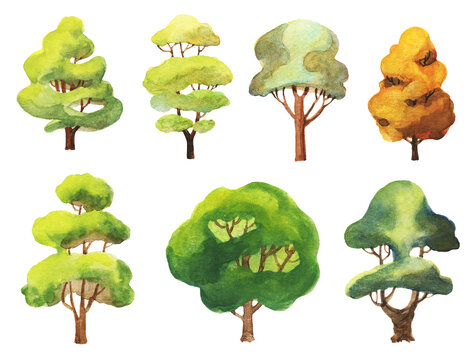 set of watercolor trees on white. hand-drawn illustration