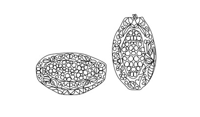 whole and half papaya with floral ornament in doodle style on a white background coloring page