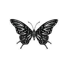 Decorative butterfly silhouette isolated on white background. Creative cut out, linocut vector illustration, clip art. 