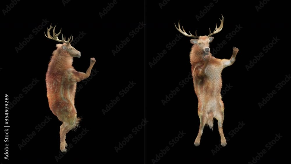Aufkleber deer dance cg fur 3d rendering animal realistic cgi vfx animation loop composition 3d mapping cartoo