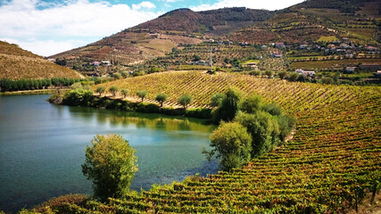 Sao Leonardo de Galafura Viewpoint in Douro Valley, Portugal
