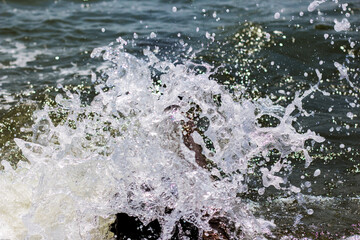 water splash isolated on white background