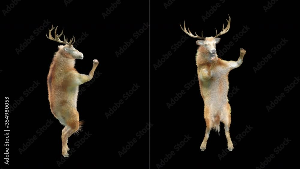 Poster deer dance cg fur 3d rendering animal realistic cgi vfx animation loop composition 3d mapping cartoo