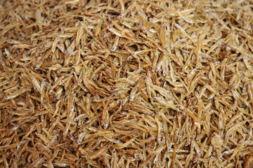 Dry fish displayed for sell