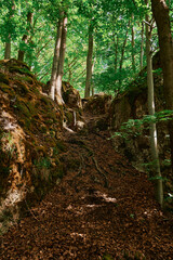 Wandern in der Fränkischen Schweiz.