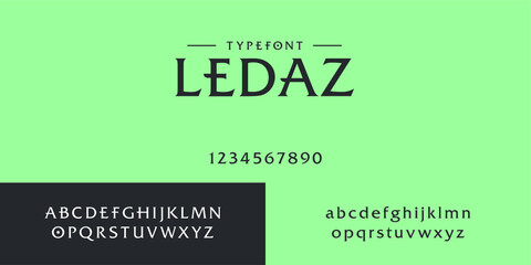 Elegant alphabet letters font and number. Classic Lettering Designs vector illustration