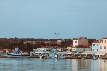 Fototapeta na wymiar seagull flying above small city harbor