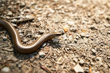 Wandern in der Fränkischen Schweiz.