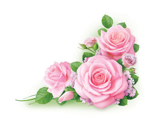 Beautiful pink roses