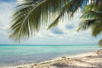 Obraz na płótnie Canvas Caribbean sea and green palm tree. Summer sea landscape .