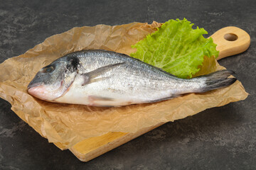 Raw Dorada fish  for cooking