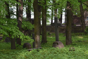 Old overgrown cemetery in Riga, Latvia