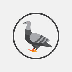 colorful dove icon. vector design