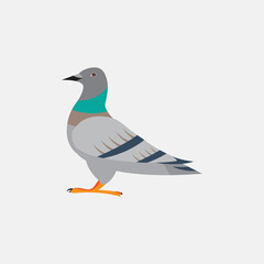 colorful dove icon. vector design