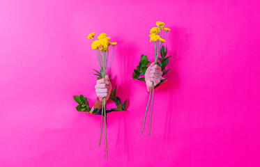Flores en manos rompiendo papel rosa