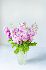 Bouquet of Beautiful lilac mattiola in crystal vase on table. Spring flowers. 