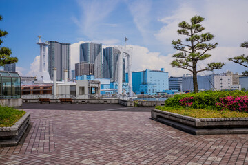 東京の海沿いの、港の近くの散歩道