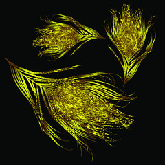 vector image with black background golden feathers fall. eps10. 