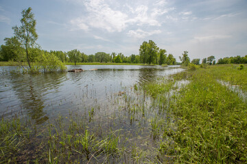 spring flood, overflowed lake, flood meadows