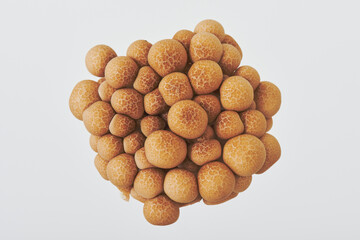 上から見たしめじ　マッシュルーム