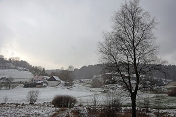 Winter im Bullauer Eutergrund, Odenwald