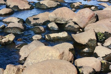 Beautiful landscape rocks and water in the forest