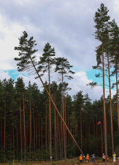 Fototapete bei efototapeten.de bestellen   