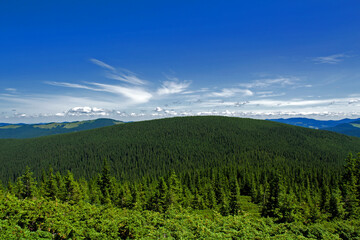 Goverla summer view, Carpathian mountains climbing, Ukraine