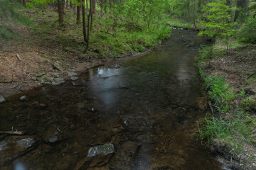 Bily Halstrov creek in west Bohemia in spring sunny fresh day