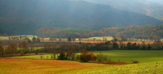 Fototapeta premium Autumn Meadow