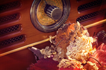 Retro radio with dry leaves and flowers