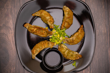 Pan fries Chinese Jiaozi dumplings