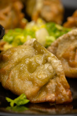 Pan fries Chinese Jiaozi dumplings