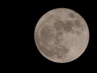 full moon in the night