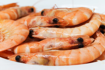 Cooked prawns on white background
