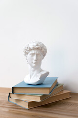 Gypsum statue of David's head on a bookshelf. Michelangelo's David statue plaster copy standing on...