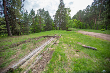 pine logs lying in a forest glade © Андрей Пугачев